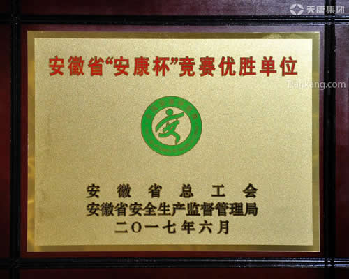 安徽天康(集團)股份有限公司